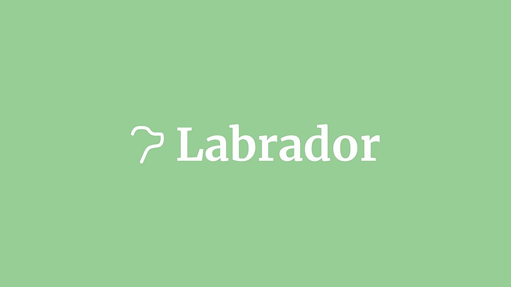 Labrador logo